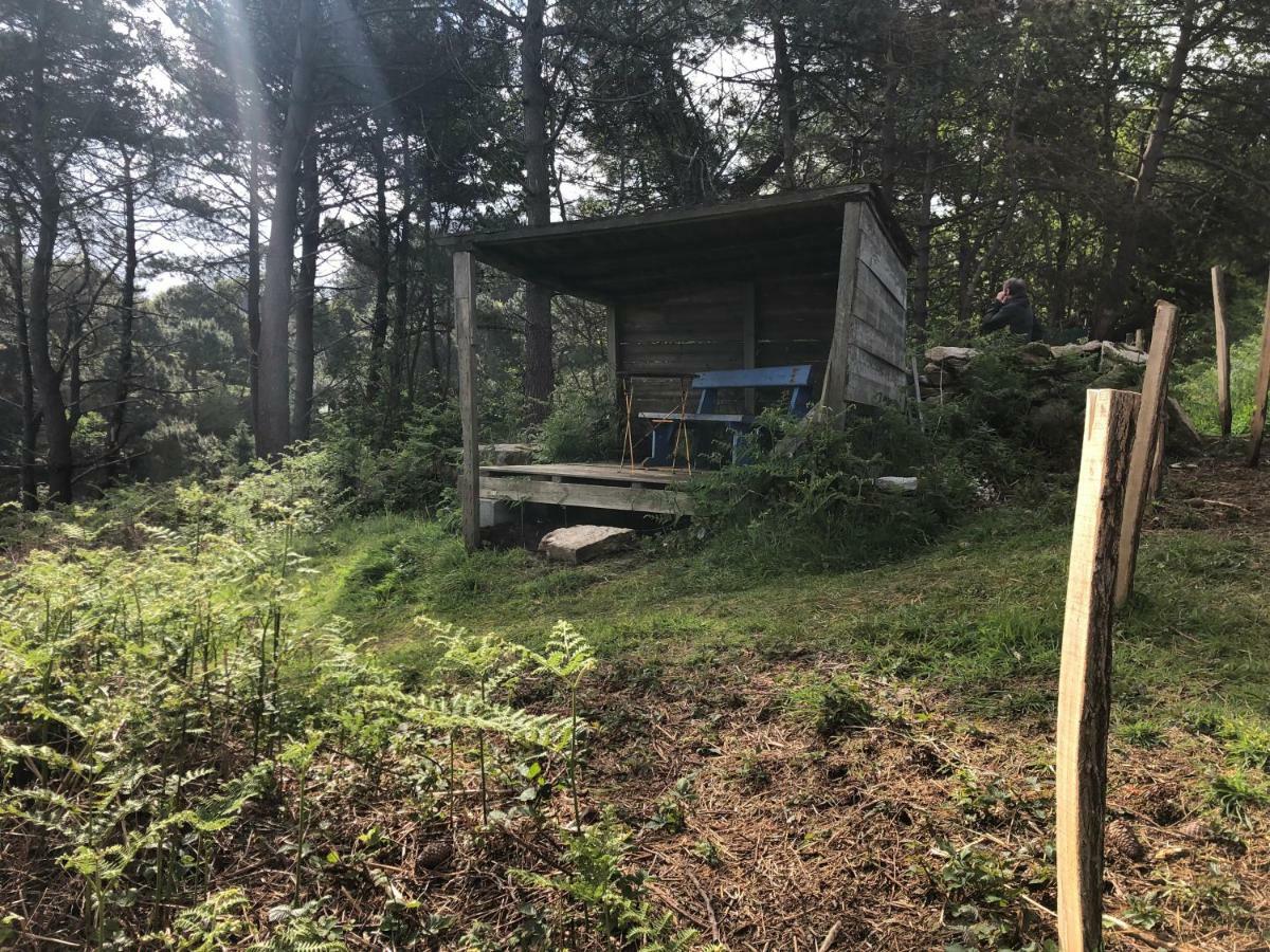 Les Fous De Bassans Acomodação com café da manhã Poullan-sur-Mer Exterior foto